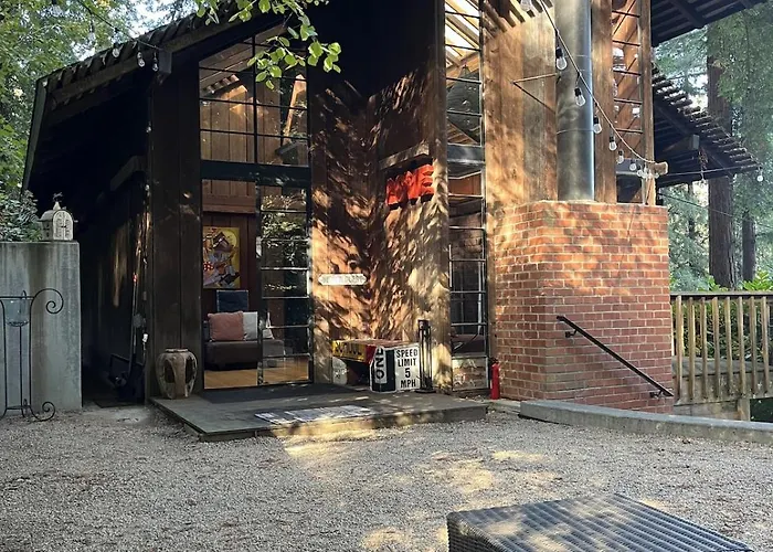 The Treehouse In Downtown Mill Valley