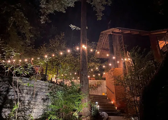 The Treehouse In Downtown Mill Valley