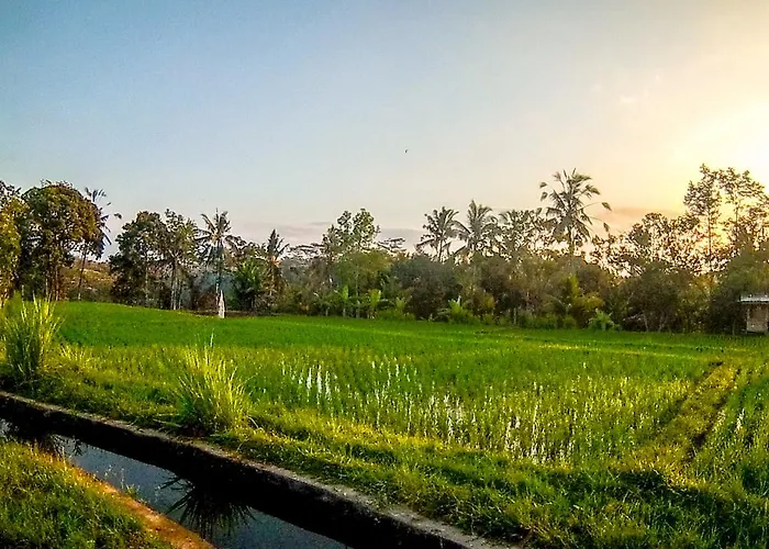 All Vacation Rentals Ubud Paradise