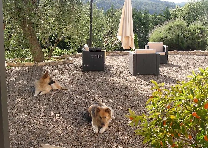 Poggio Di Luna Adults Only