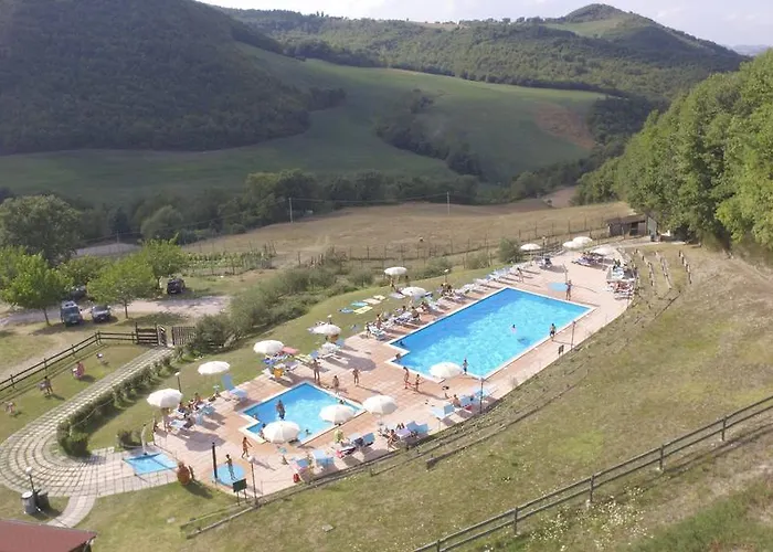 Orsaiola
