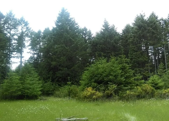 Gabriola Central B&B