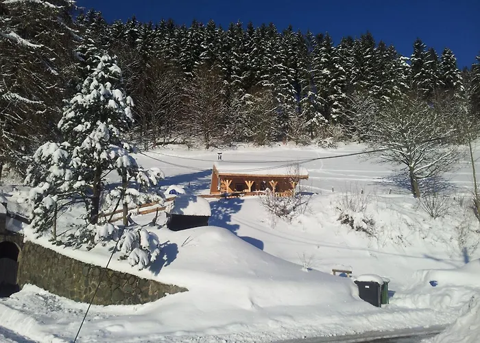 Der Nesselbacher