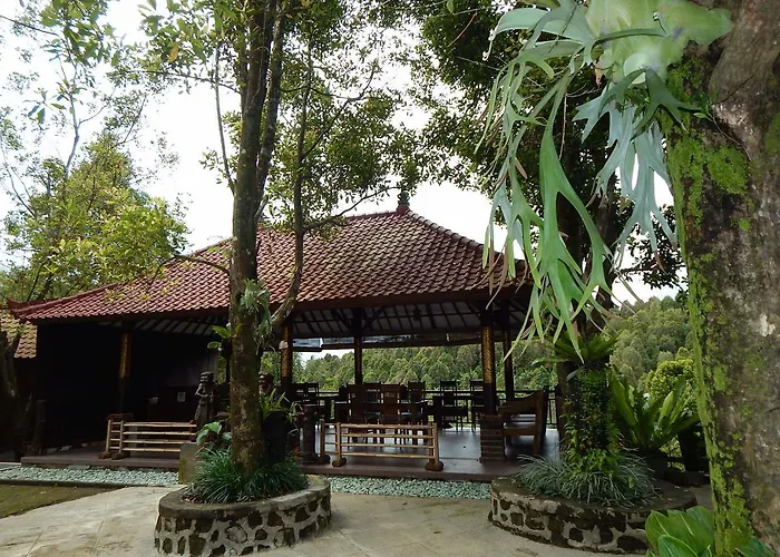 Hôtel avec piscine: Villa Dua Bintang