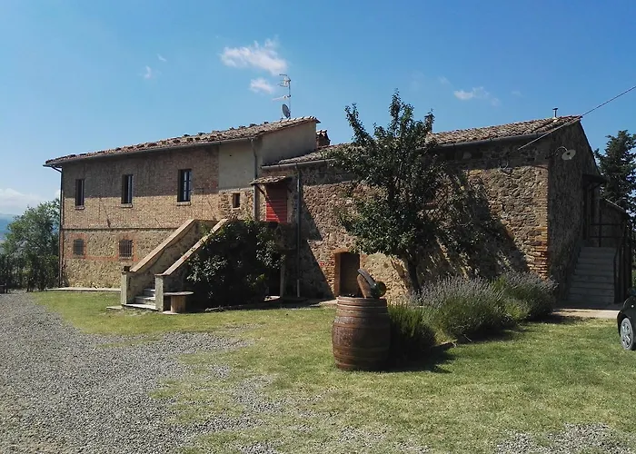  Luce Di Vino