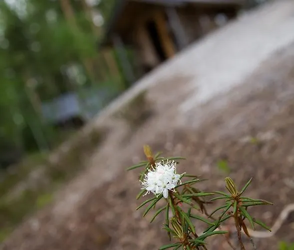Pielppa Lodge