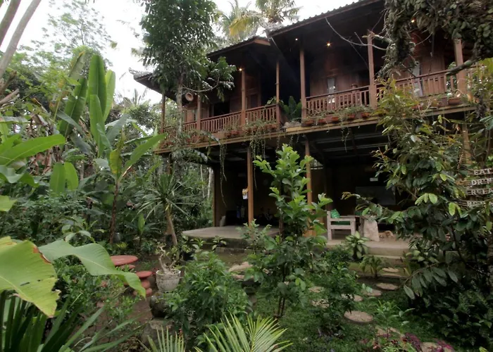 Jungle Joglo