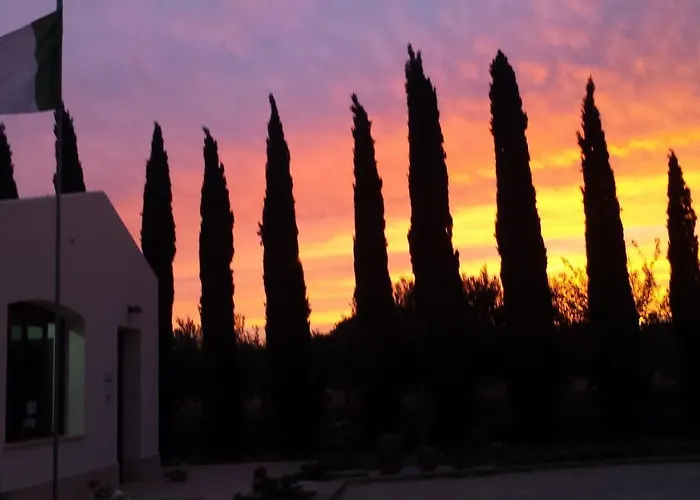 Camping A Selinunte