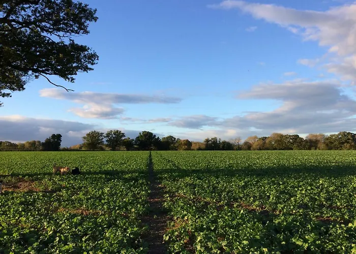 Gilberts End Farm