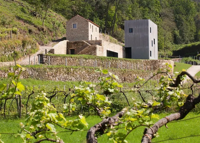  Alvarinho