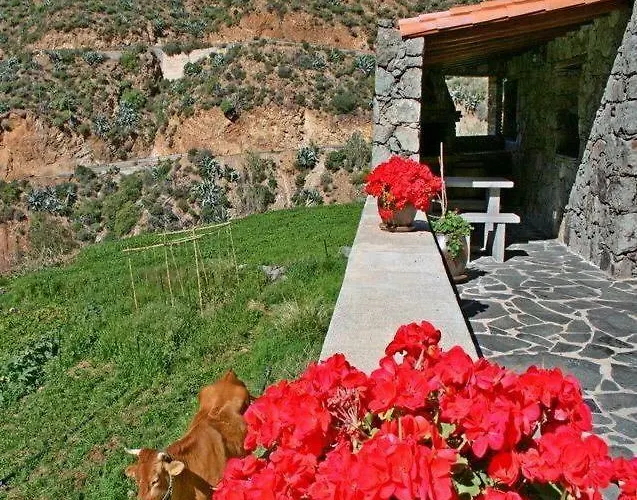 Perros hoteles El Coronel