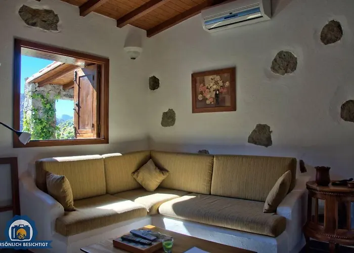 Perros hoteles El Coronel