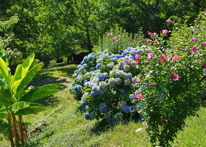 Les Chalets De Pierretoun