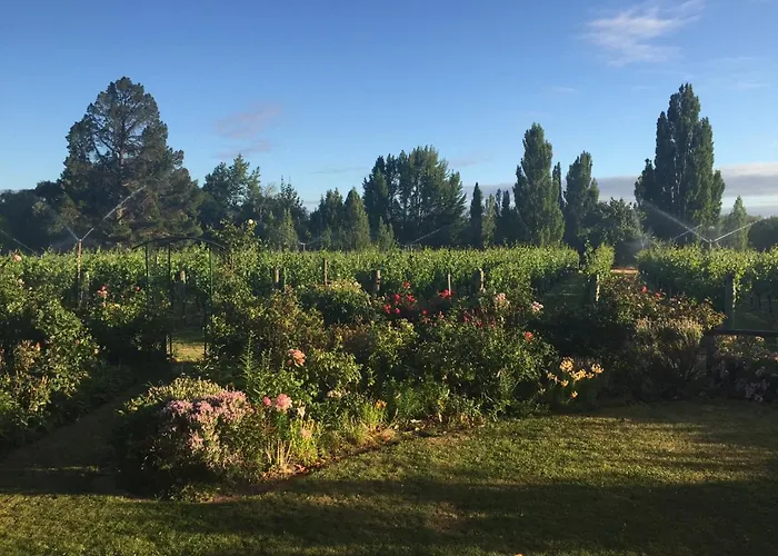 'The Crib' On Legacy Vineyard