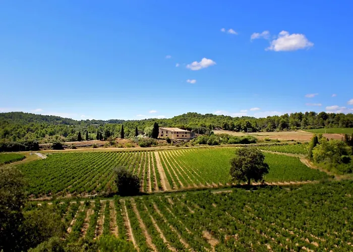 Domaine De Palats
