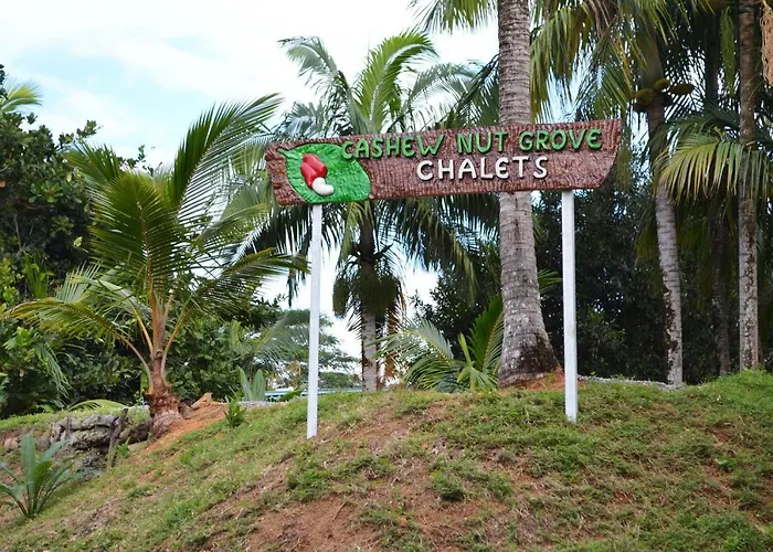 Cashew Nut Grove Chalets